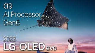 2023 LG OLED evo | α9 AI Processor Gen6