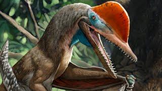 Kunpengopterus - The Thumbed Pterosaurs