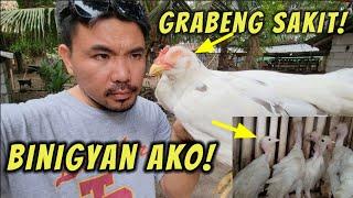 May nagbigay ng Pabo(turkey) sa akin!