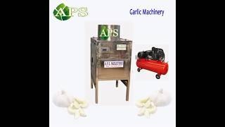 All Type Food Processing Machine - APS Industries