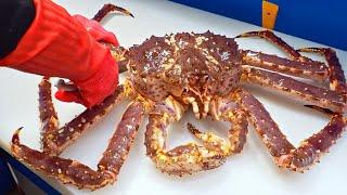 Special skill！Giant King Crab cutting Master, Luxurious sashimi, Crab fried rice/巨大帝王蟹切割大師,奢華蟹腳,蟹膏炒飯