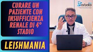 Curare un paziente con insufficienza renale di 4° Stadio // Leishmania