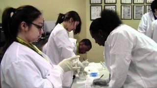 Pharmacy Technician Students Working In The Lab | Charter College