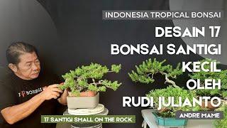 Desain awal untuk 17 Bonsai Santigi Kecil oleh Pak Rudi Julianto