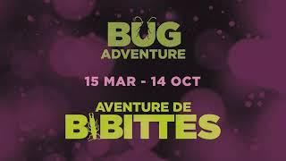 Bug Adventure: Experience the World as Bugs Do!