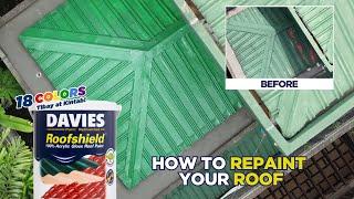 STEP-BY-STEP Guide: How to Repaint your Roof using DAVIES Roofshield Water-Based Gloss Roof Paint