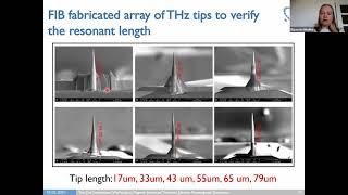 Day 3/2 - Probes fabrication for ultrasensitive THz nanoscopy -  Elizaveta Nikulina