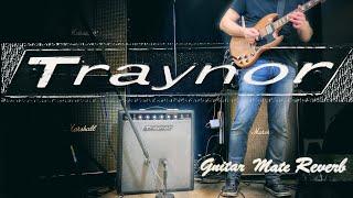 Canadian PLEXI!! Traynor Guitar Mate Reverb YGM-3