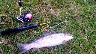 Форель. Трофейная форель на микроречке. Топ блесна на форель с AliExpress! #trout #Aliexpress