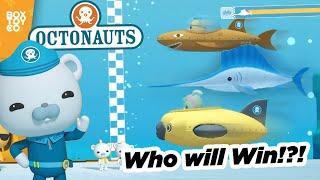 Underwater SailFish Race! Which Gup will Win?! in Octonauts Pt.2