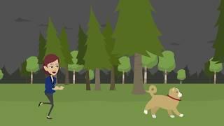What does it mean when I dream about being chased?