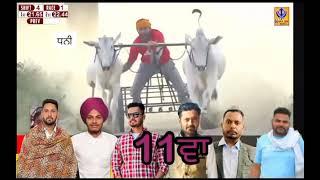 Bull race haryana vs Punjab 