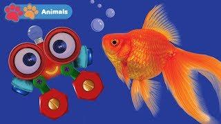 Learn Sea Animals for Kids with Robi | Animals Names & Sounds | Zoo & Wild Animals for Children