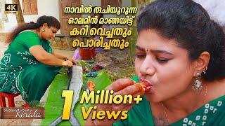 Mouth watering Sail fish curry and fry with mango flavour | Kerala Village Food | ASMR Cooking