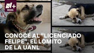 Adoptan al "Licenciado Felipe" en facultad de Derecho de la UANL - N+Prime