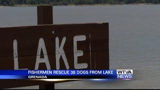 Fishermen rescued 38 dogs from Grenada Lake