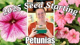 2025 Seed Starting - Petunias  || Starting Petunias from Seed | Save Money & Grow Unique Varieties