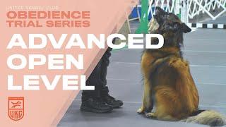 UKC Obedience: Train Your Dog for the Advanced Open Level