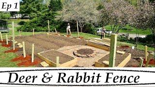 DEER and RABBIT Fence for the GARDEN (Episode 1)