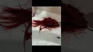 Тгк: Мираж на связи #волосы #shorts #стиль #стрижка #пов