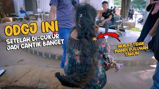 Masya Allah - Setelah dicukur dan di mandiin ODGJ gimbal ini jadi cantik banget