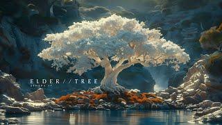Elder Tree - Japanese Zen Music by the Ocean