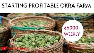 Starting Profitable Okra Farming in Ghana; How to make GhC 6000 Weekly from an Acre