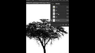 Remove Background - Short Photoshop Tutorial