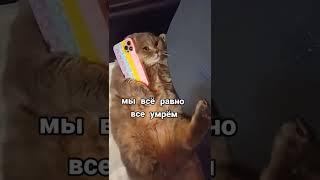 когда лень идти на работу 
