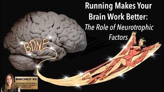 Running Makes Your Brain Work Better: The Role of Neurotrophic Factors