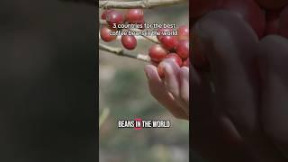 3 Countries For The Best coffee beans in The World #coffeebean #singleorigincoffee #coffee
