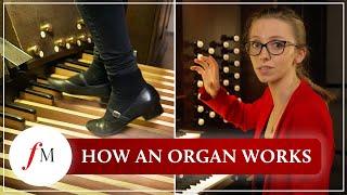 How does a pipe organ actually work? | Anna Lapwood | Classic FM