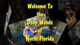 Another Day of Living in the Deep Woods of North Florida | All About Living