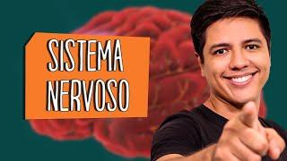 SISTEMA NERVOSO - ANATOMIA E FISIOLOGIA - Biologia com Prof. Kennedy