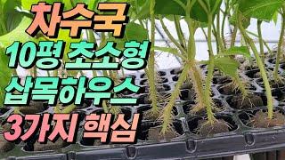 단맛 설탕 1000배, 수국차 삽목 3가지 비밀