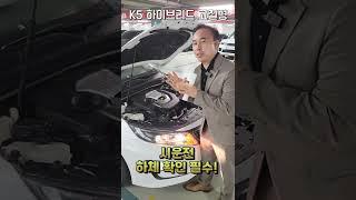 K5 하이브리드 고질병 총정리!!