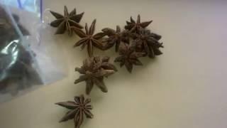 Бадьян (Анис Звездчатый, Illicium, Star Anise). Обзор Бадьяна от интернет-магазина Банка Специй.