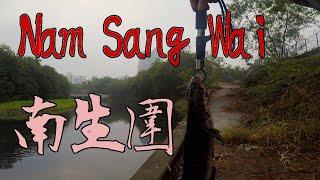 [HK Fishing] Lures Fishing in Nam Sang Wai - 南生圍路亞 假餌