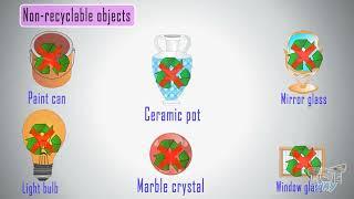 Recyclable & Non-Recyclable Materials In Our Environment | Science