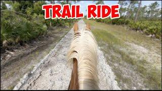 My First HORSE TRAIL RIDE after Being Pregnant!