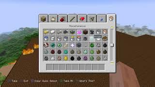 Mincraft gamer ima og