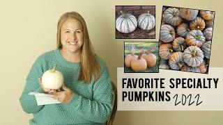 Favorite Specialty Pumpkin Varieties of 2022, and a few new ones for 2023!  Growing for Market