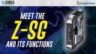 Strain gauge/load cell signal converter - Seneca