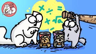 UNDERSTANDING CAT MATH - Caturday Film Club