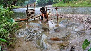 FULL VIDEO: How to catch fish, a clever boy uses bamboo to trap a giant school of fish in the stream