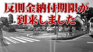 【歩行者妨害VS弁護士】今回の取締り皆さんどう思われますか？【4】