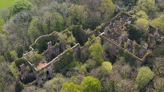 Baron Hill Mansion - Beaumaris