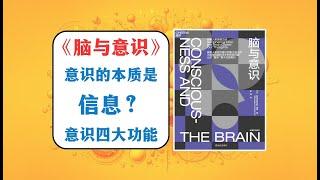 《脑与意识》：意识的本质是信息？意识四大功能；意识的神经标志；“全脑神经工作空间”假说【意识丨心理】【魏知超】《脑与意识》