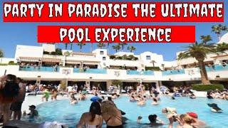 Ultimate Pool Experience at Palms: The Perfect Summer Escape