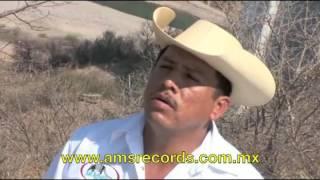 Los Armadillos de la Sierra - Lo mas Picudo de la Sierra